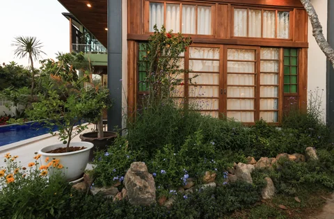 Garden border with marigolds and blue flowers at dusk, pool visible in the background