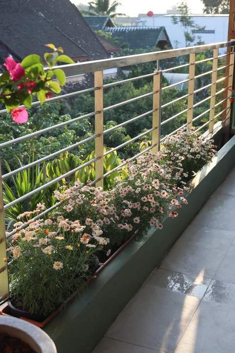 Upper balcony with overflowing daisy flower boxes and bougainvillea, Chiang Mai rooftops beyond