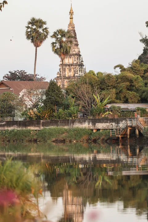 Ancient Buddhist chedi reflected in the calm river with palm trees in soft morning light